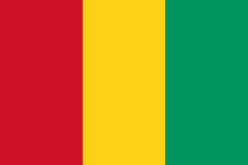 Guinea Smart DNS Proxy