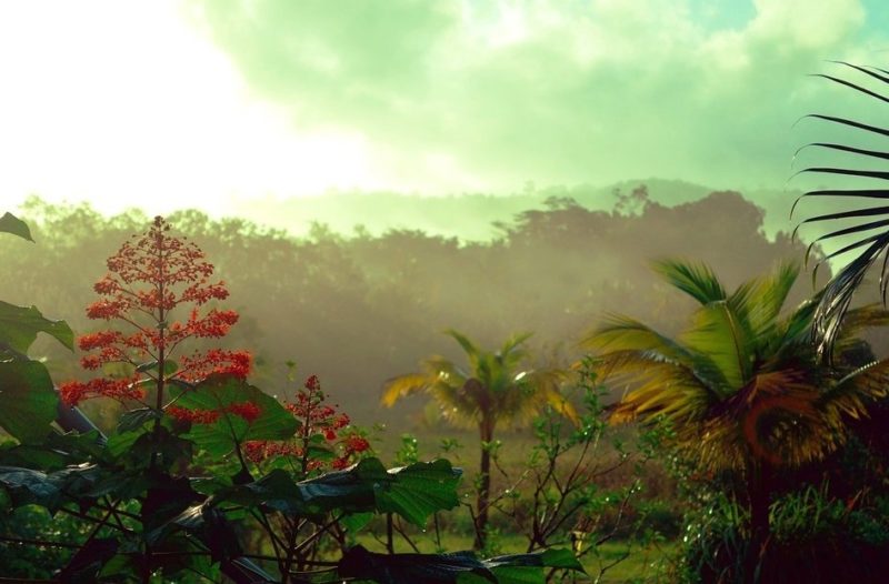 guyana vpn Ivacy VPN