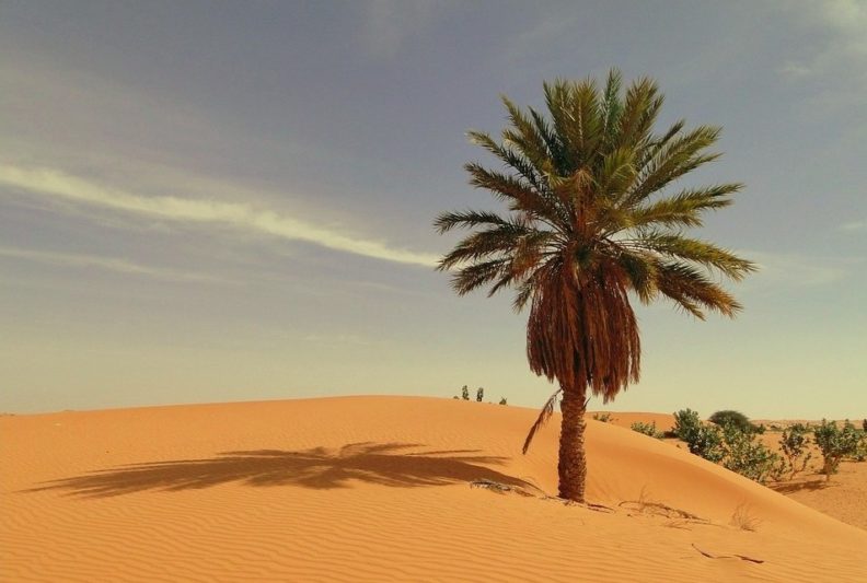 mauritania vpn Ivacy VPN